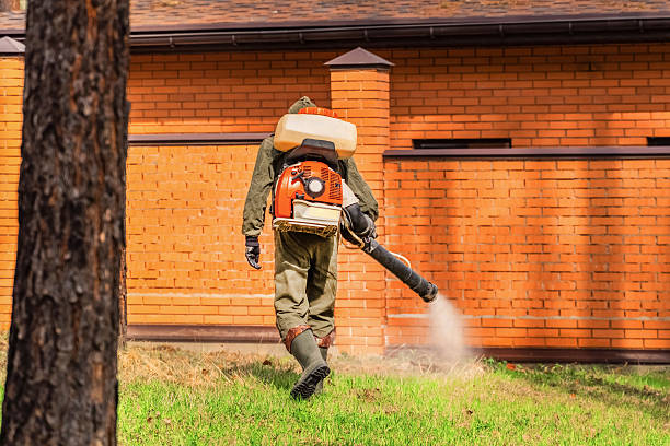 Trusted Ant Control service in Liberty Triangle, FL - Nex Pest Control